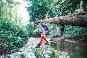 BIB: 
                            <button type="button" onclick="openModal(25432146)" class="btn btn-primary btn-sm float-right btn-popup" data-toggle="modal" data-target=".modal-high-quality">
                        <i class="fas fa-shopping-cart"></i> Add to Cart
                    </button>
                                            <button type="button" onclick="isThisMe(25432146, true)" class="btn btn-success btn-sm float-right btn-popup btn-isme hidden" data-toggle="tooltip" data-placement="bottom" title="นี่คือรูปของคุณใช่ไหม คลิกที่นี่เพื่อเอาเข้าอัลบั้ม">
                        <i class="fas fa-plus"></i> Add to album
                    </button>
                    <button type="button" onclick="isThisMe(25432146, false)" class="btn btn-warning btn-sm float-right btn-popup btn-isnotme hidden">
                        <i class="fas fa-ban"></i> Remove from album
                    </button>